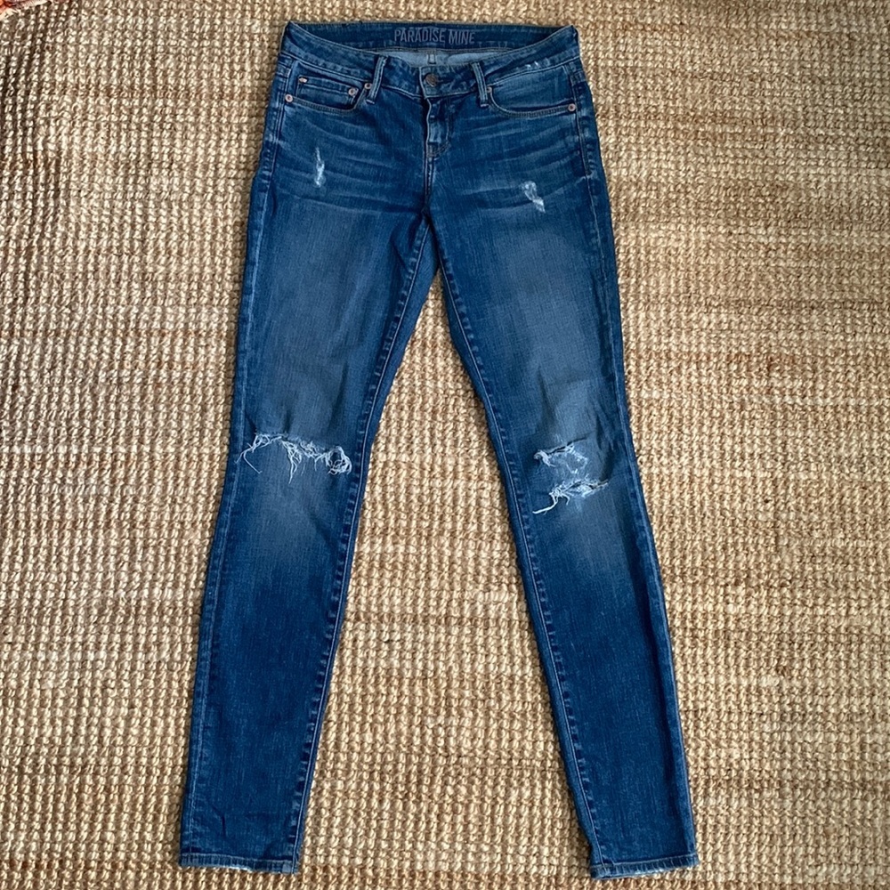 Aritzia Paradise Mine label Jeans